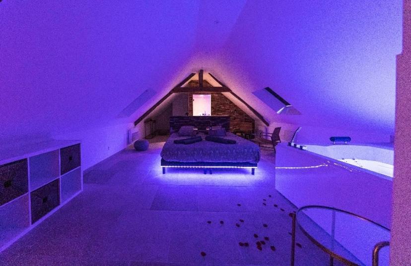 L'Evasion-Spa-Hammam-Sauna Illimite - 2 A 4 Pers Saint-Cyr-sur-Loire Buitenkant foto