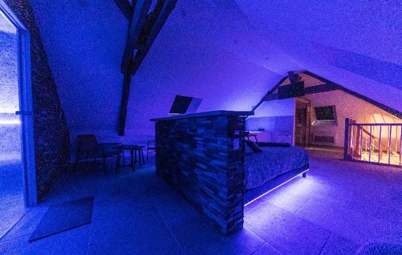L'Evasion-Spa-Hammam-Sauna Illimite - 2 A 4 Pers Saint-Cyr-sur-Loire Buitenkant foto