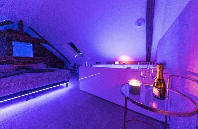 L'Evasion-Spa-Hammam-Sauna Illimite - 2 A 4 Pers Saint-Cyr-sur-Loire Buitenkant foto